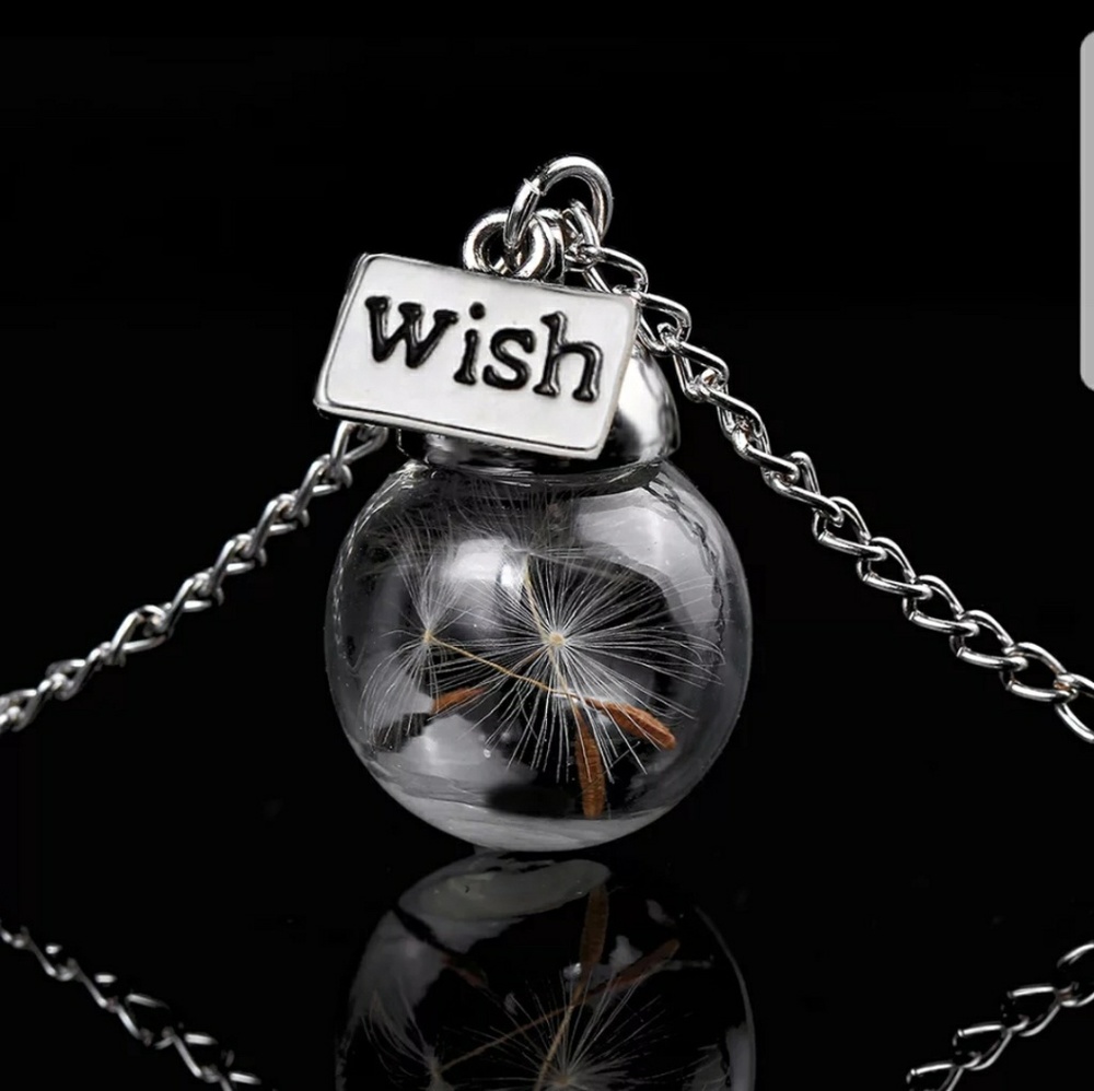 Wish necklace